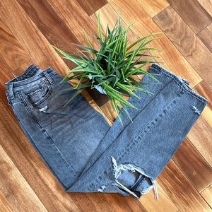 Womens American Eagle Outfitters size 4 regular gray mom jeans